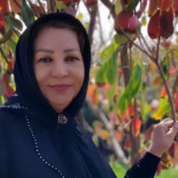 بامیکا_بیرجند